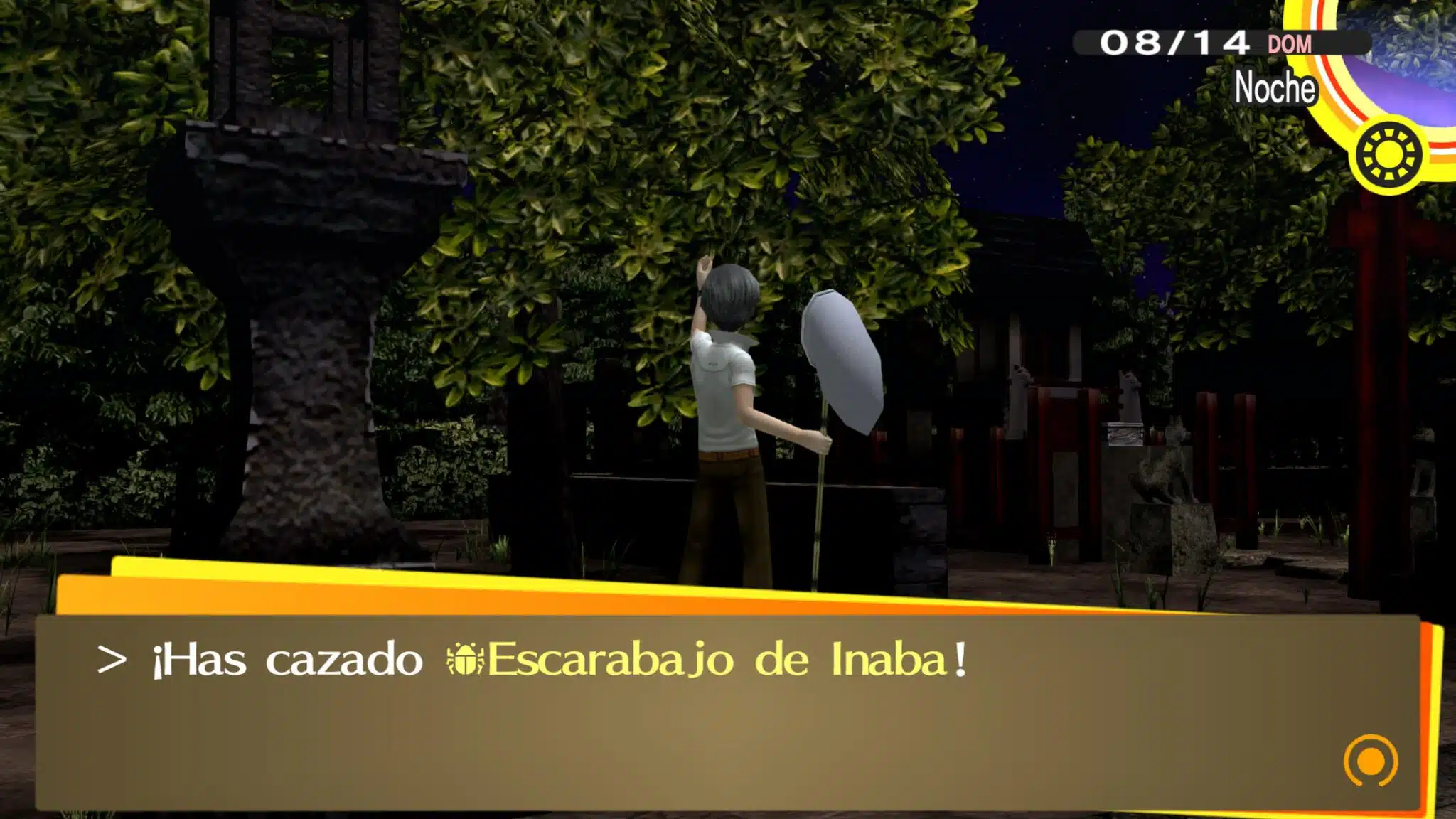 Capturando un Escarabajo de Inaba